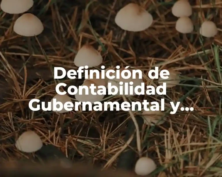 Definición de Contabilidad Gubernamental y Armonización Contable