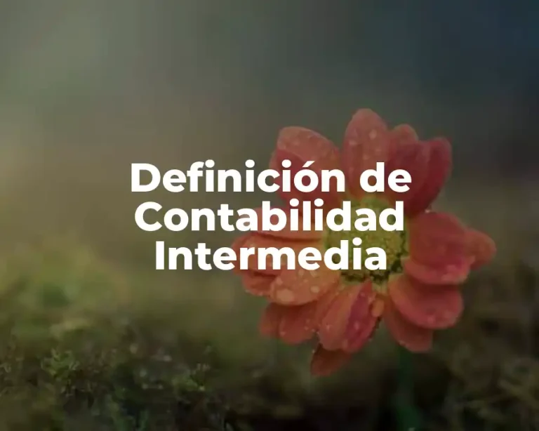 Definición de Contabilidad Intermedia
