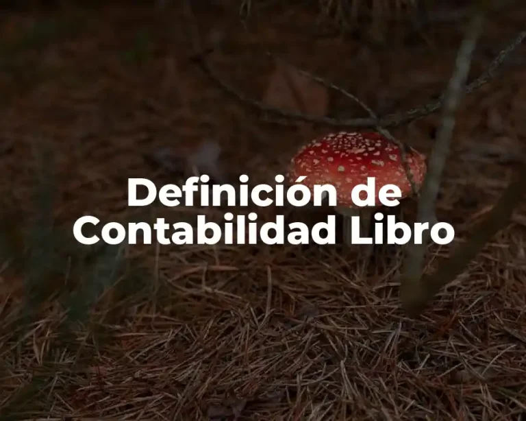 Definición de Contabilidad Libro