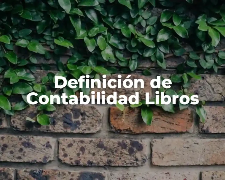 Definición de Contabilidad Libros