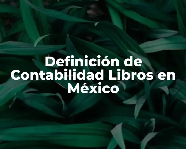 Definición de Contabilidad Libros en México