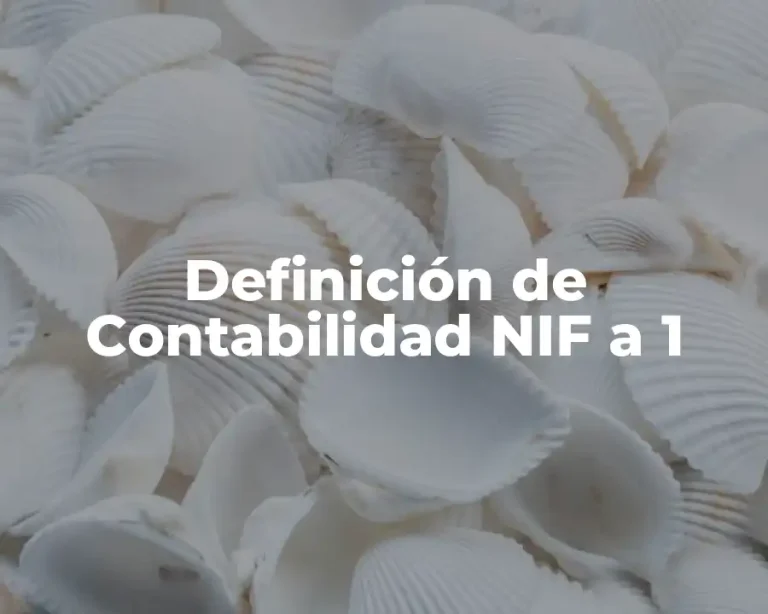 Definición de Contabilidad NIF a 1