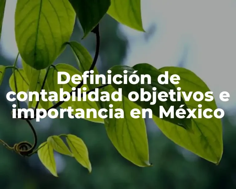 Definición de contabilidad objetivos e importancia en México