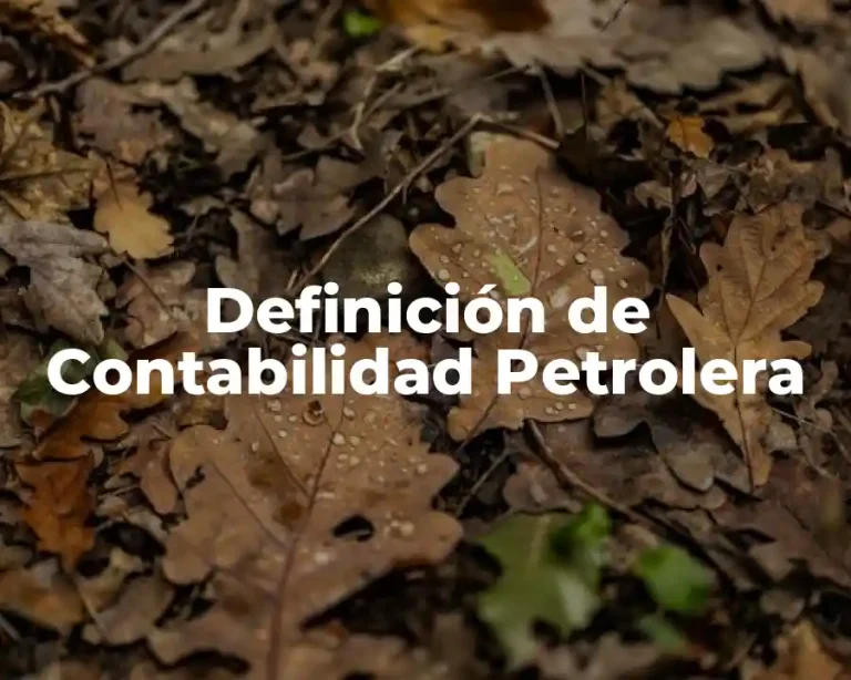 Definición de Contabilidad Petrolera