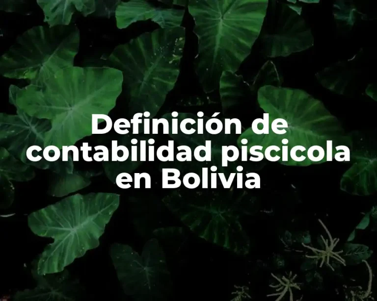 Definición de contabilidad piscicola en Bolivia