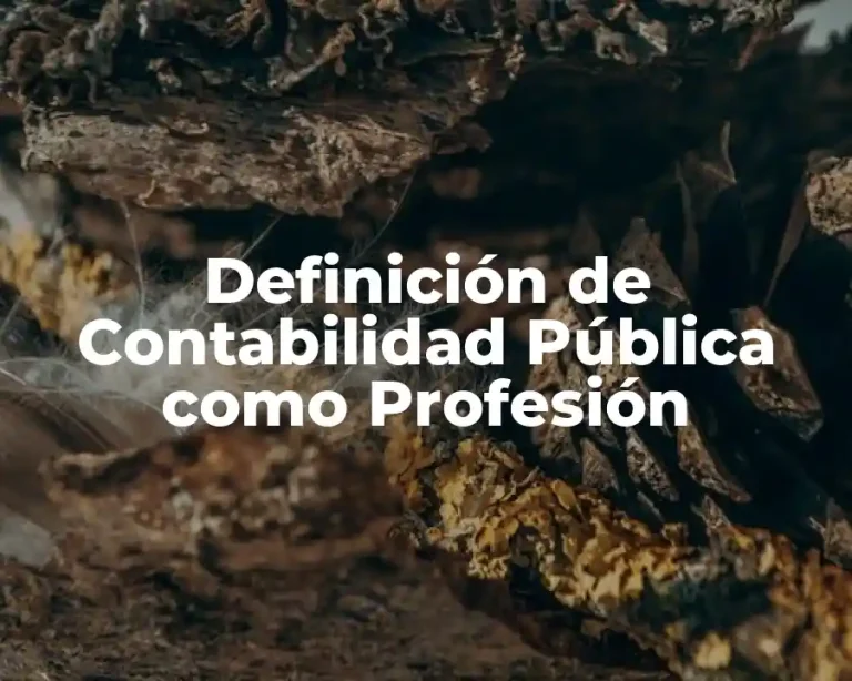 Definición de Contabilidad Pública como Profesión