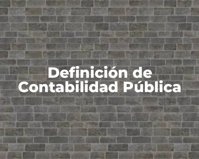 Definición de Contabilidad Pública