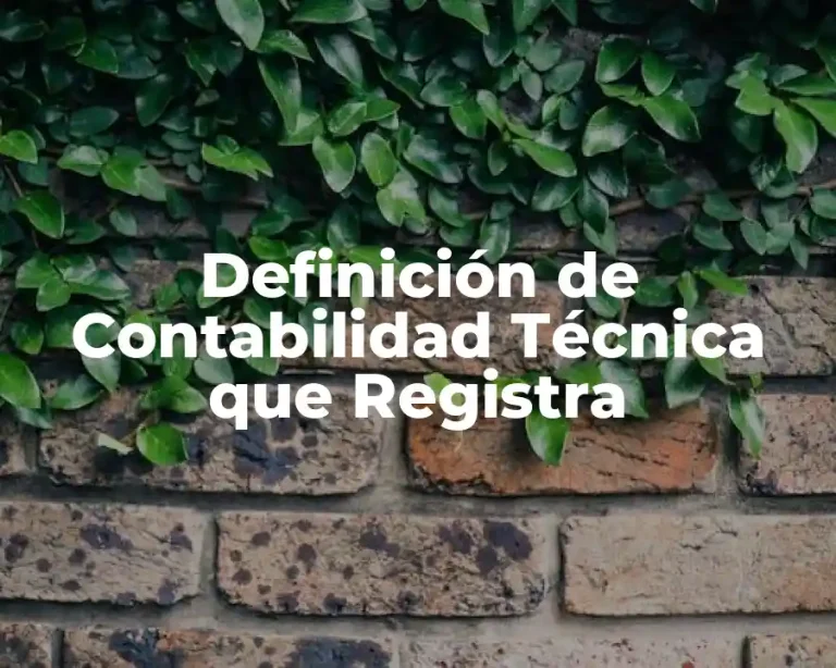 Definición de Contabilidad Técnica que Registra