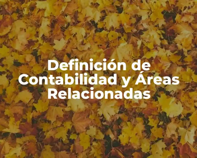 Definición de Contabilidad y Áreas Relacionadas