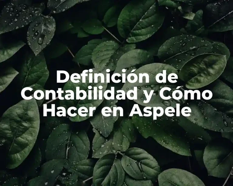 Definición de Contabilidad y Cómo Hacer en Aspele