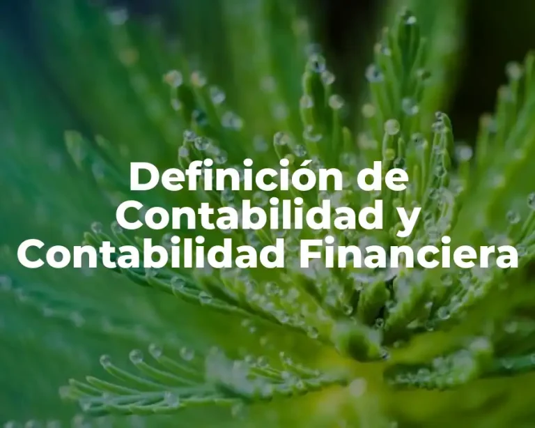 Definición de Contabilidad y Contabilidad Financiera