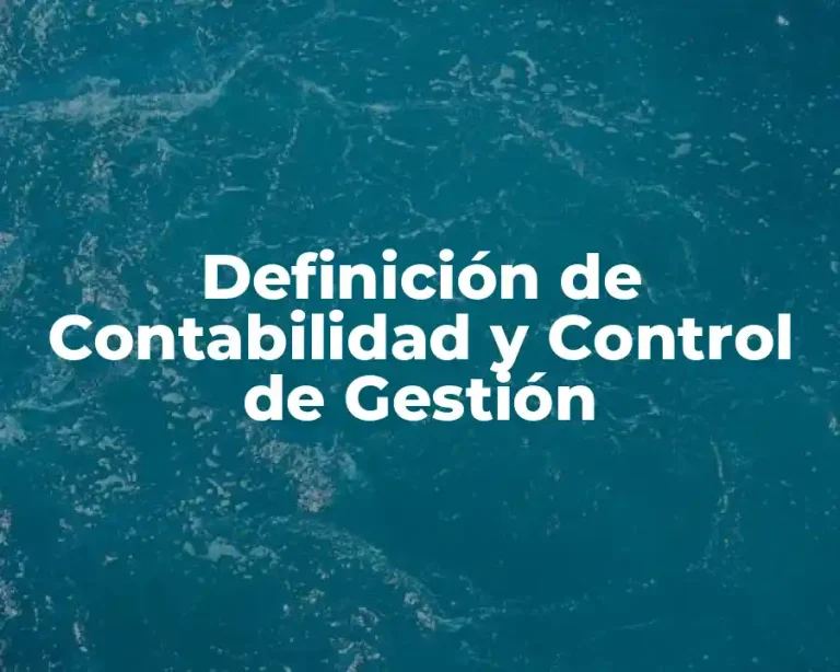 Definición de Contabilidad y Control de Gestión