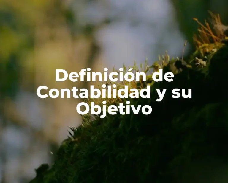 Definición de Contabilidad y su Objetivo