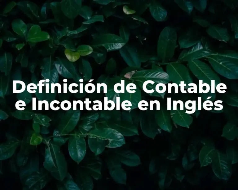 Definición de Contable e Incontable en Inglés