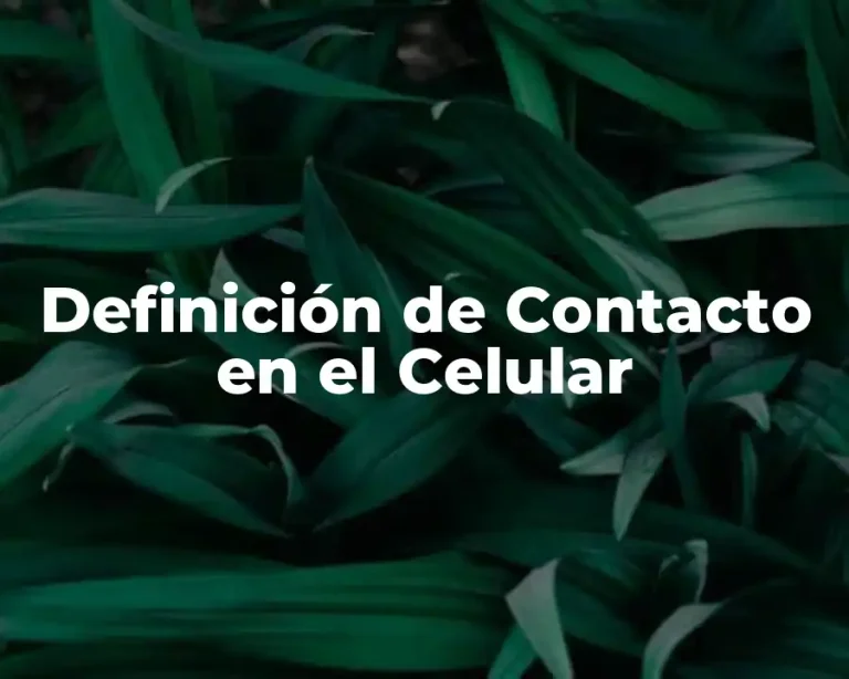 Definición de Contacto en el Celular