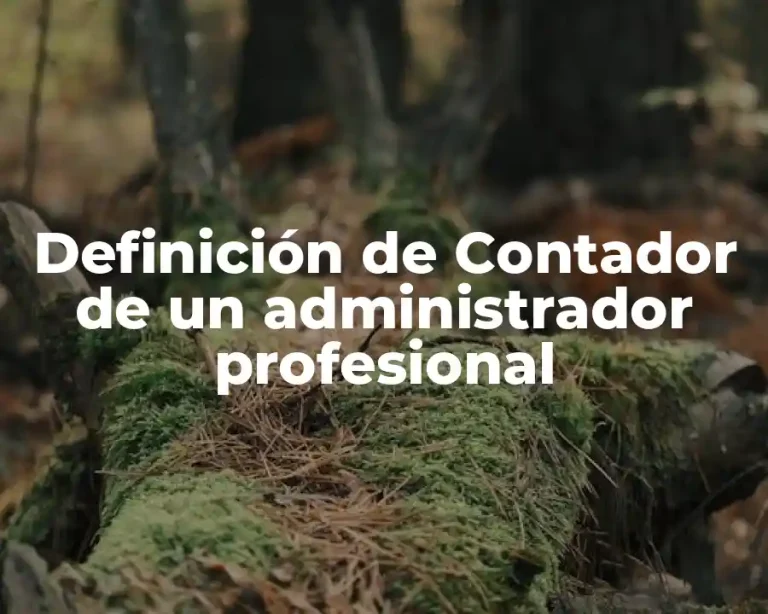 Definición de Contador de un administrador profesional