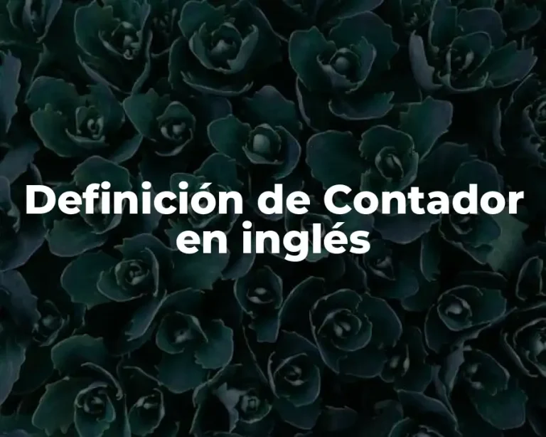 Definición de Contador en inglés