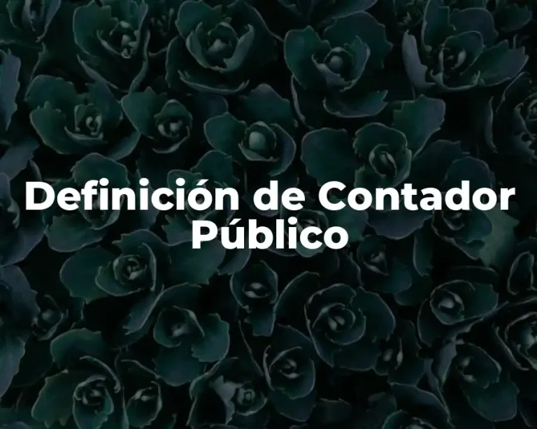 Definición de Contador Público