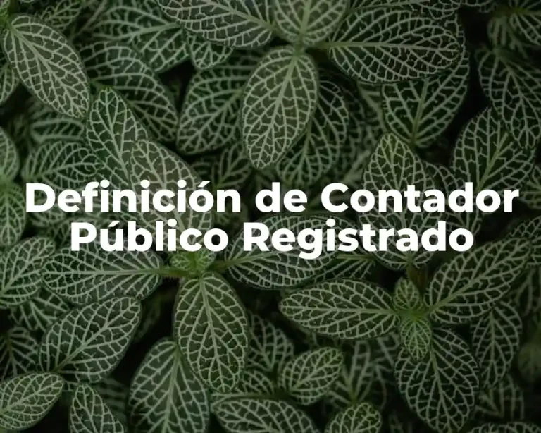 Definición de Contador Público Registrado