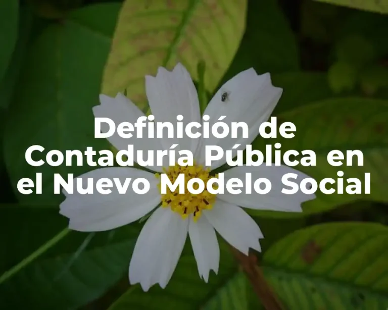 Definición de Contaduría Pública en el Nuevo Modelo Social