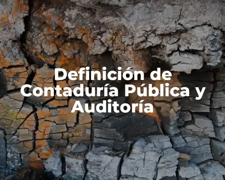 Definición de Contaduría Pública y Auditoría