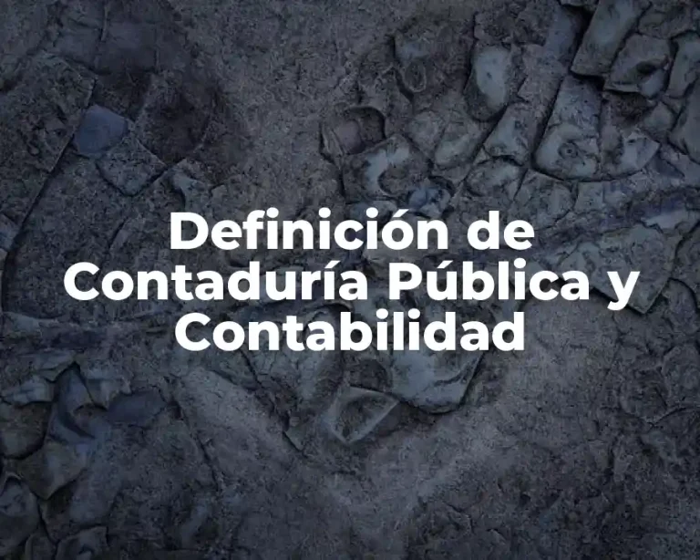 Definición de Contaduría Pública y Contabilidad