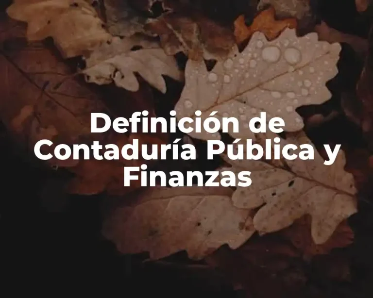Definición de Contaduría Pública y Finanzas