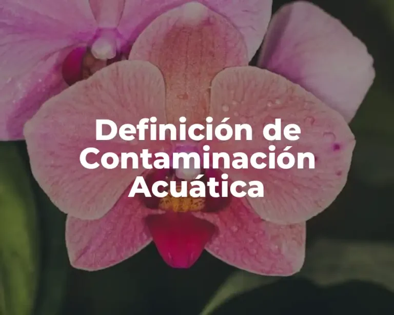 Definición de Contaminación Acuática