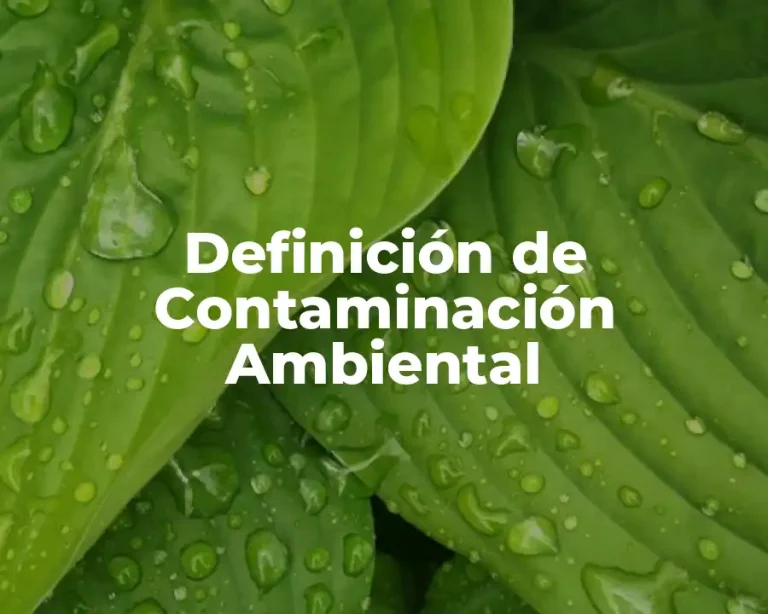 Definición de Contaminación Ambiental