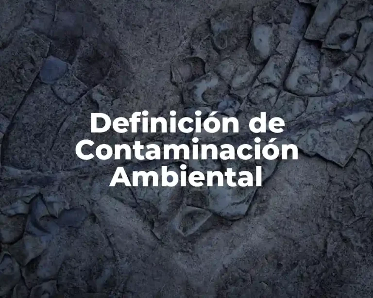 Definición de Contaminación Ambiental
