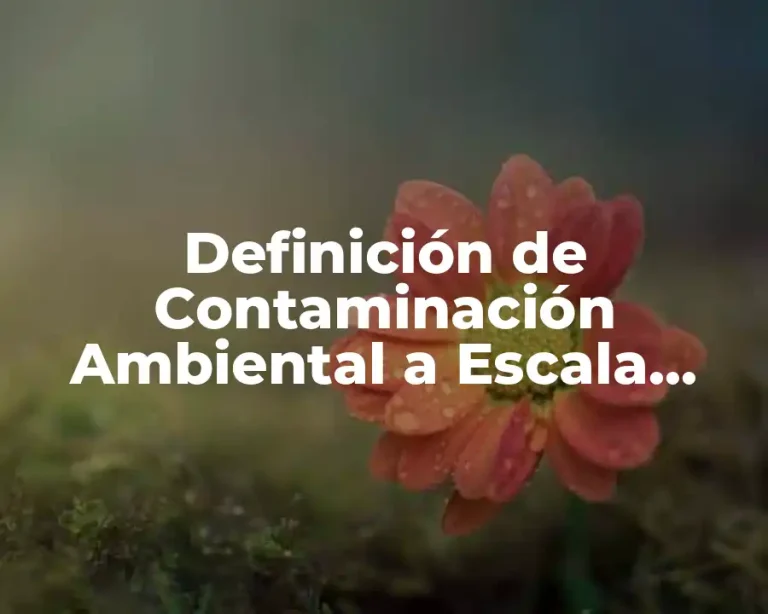Definición de Contaminación Ambiental a Escala Local