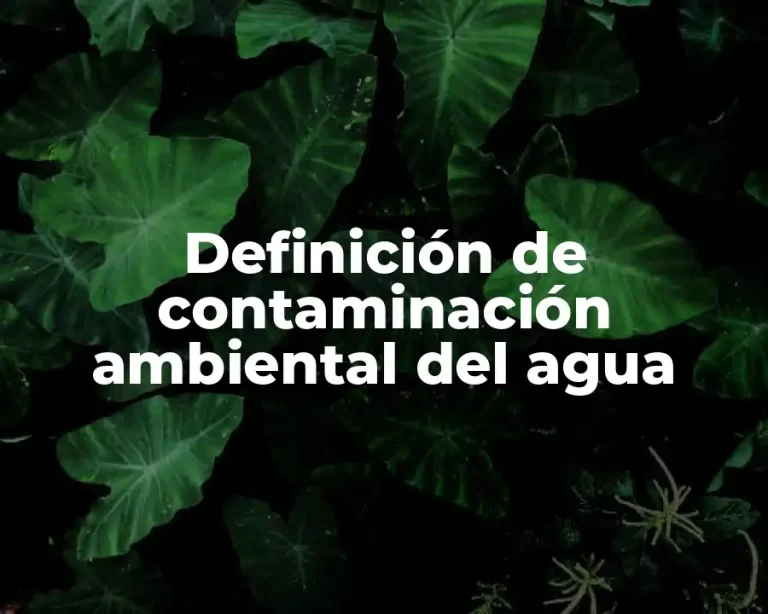 Definición de contaminación ambiental del agua