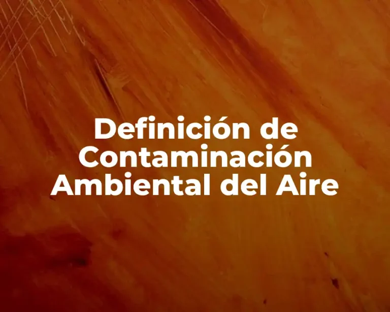 Definición de Contaminación Ambiental del Aire