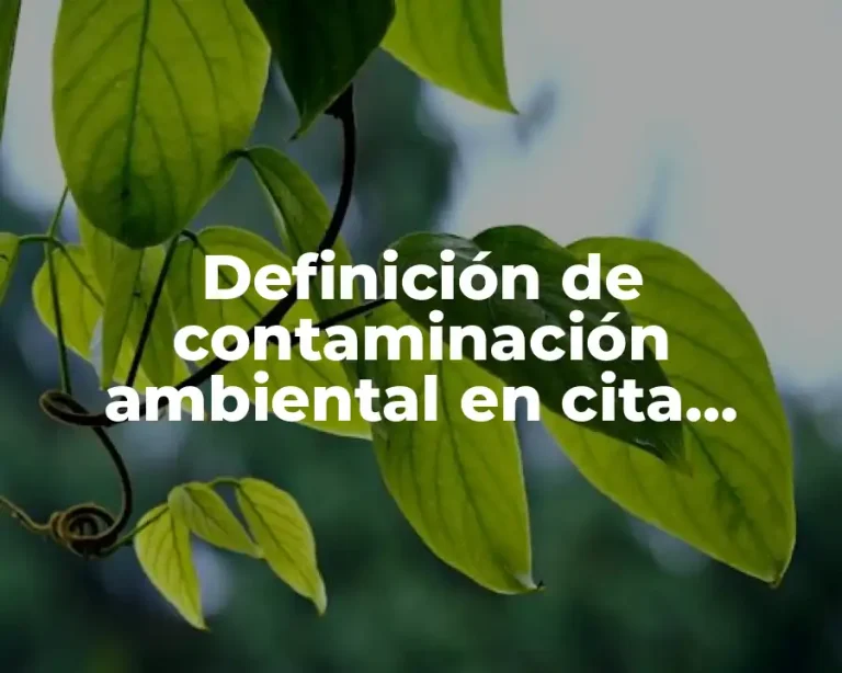 Definición de contaminación ambiental en cita textual