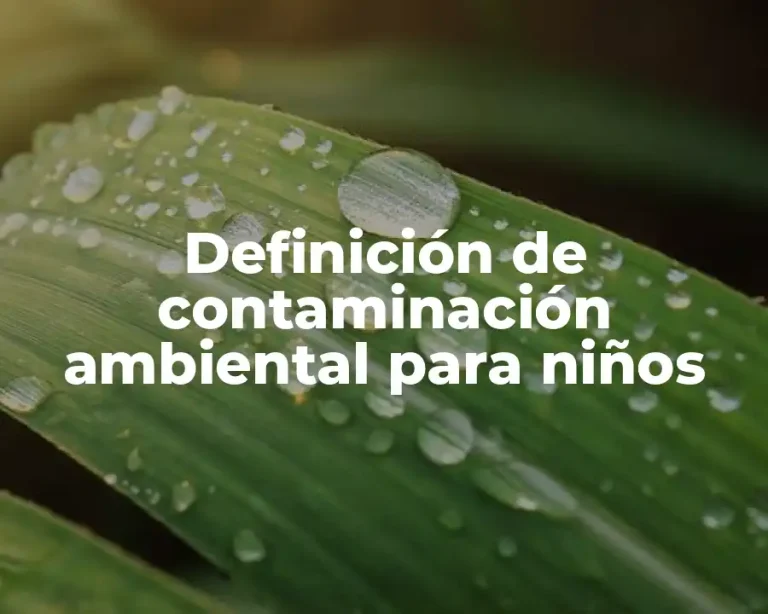 Definición de contaminación ambiental para niños