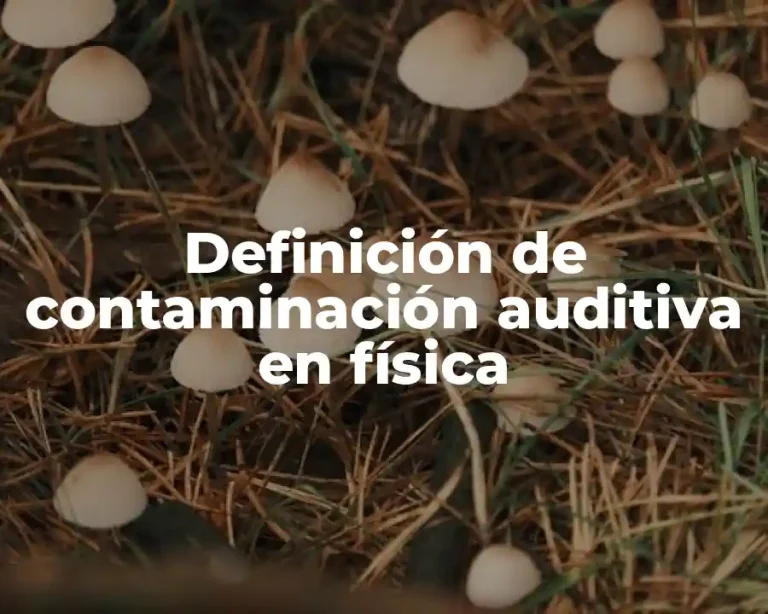 Definición de contaminación auditiva en física