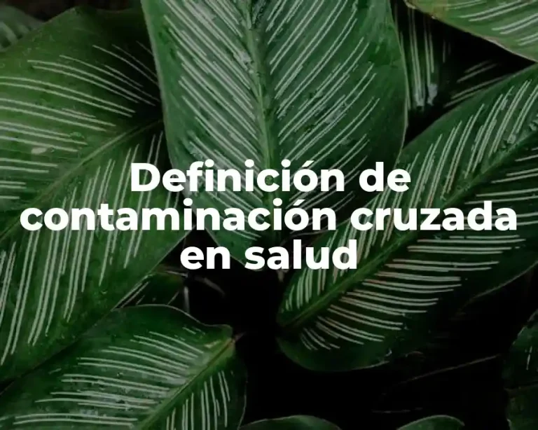 Definición de contaminación cruzada en salud