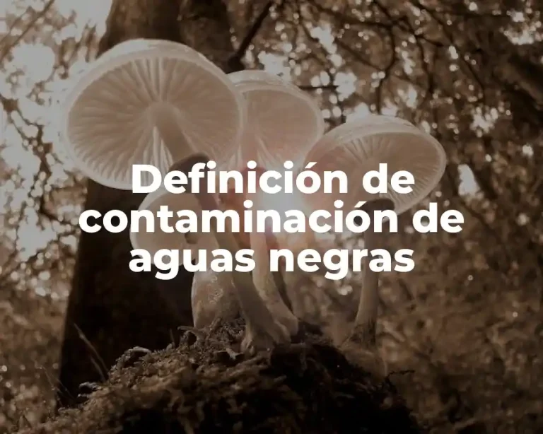 Definición de contaminación de aguas negras