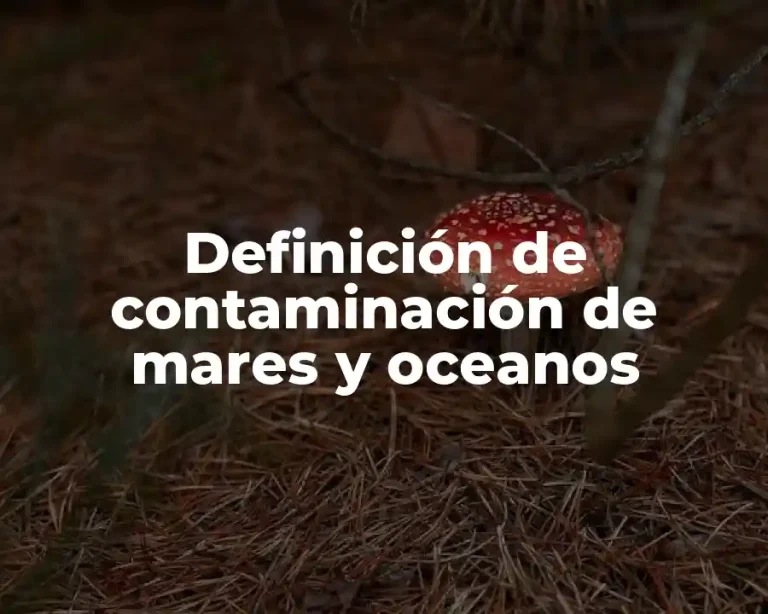 Definición de contaminación de mares y oceanos