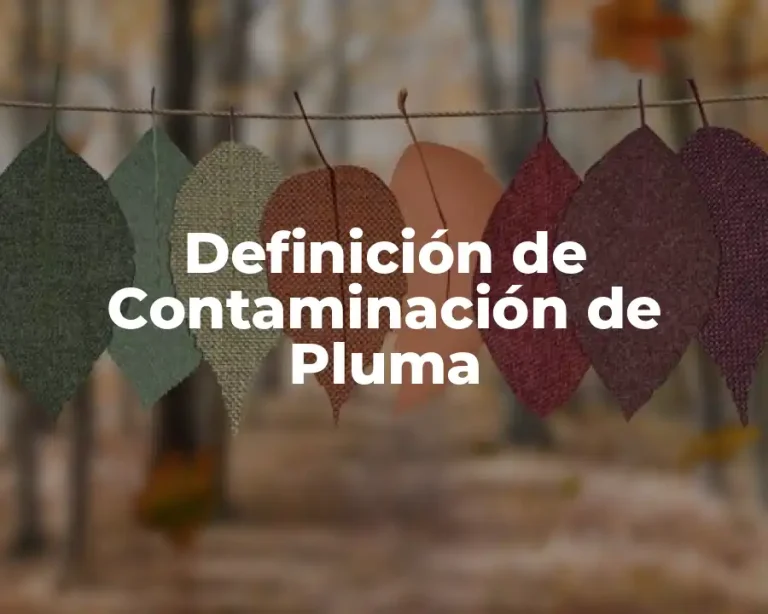 Definición de Contaminación de Pluma