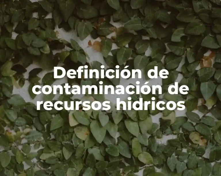 Definición de contaminación de recursos hidricos