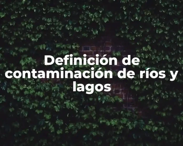 Definición de contaminación de ríos y lagos