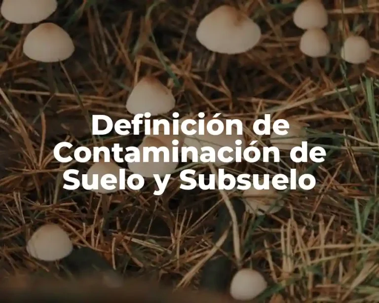 Definición de Contaminación de Suelo y Subsuelo