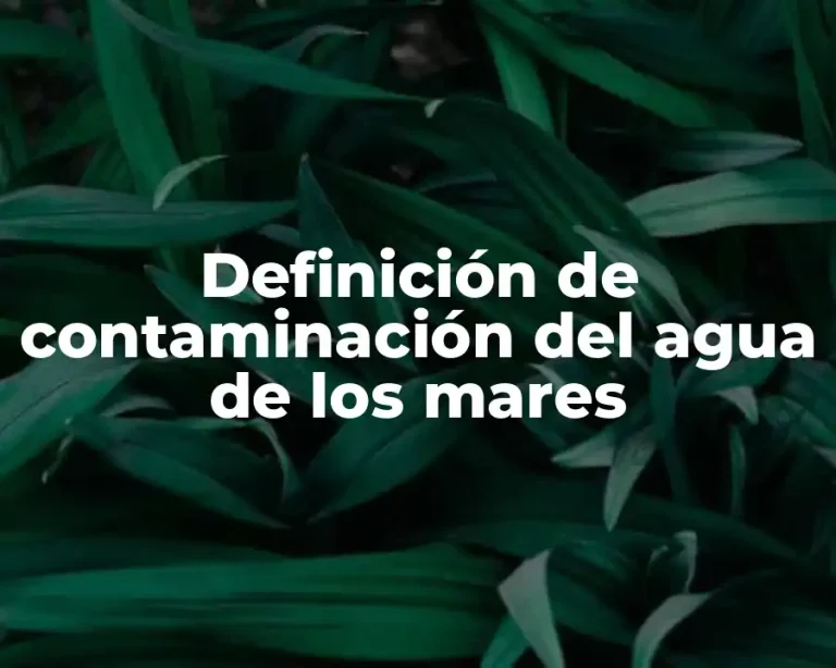 Definición de contaminación del agua de los mares
