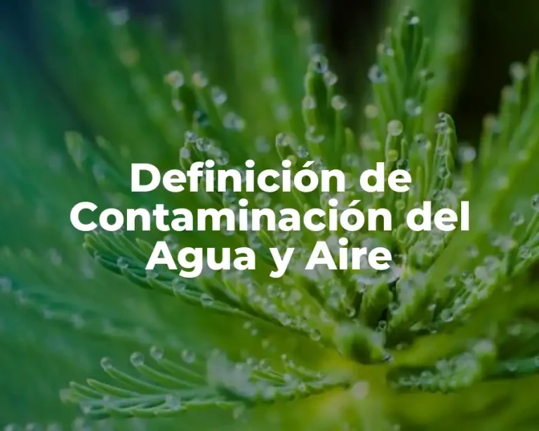 Definición de Contaminación del Agua y Aire