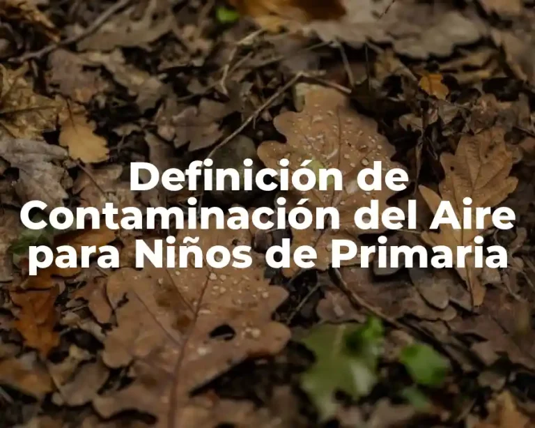 Definición de Contaminación del Aire para Niños de Primaria
