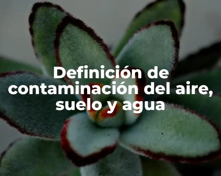 Definición de contaminación del aire, suelo y agua