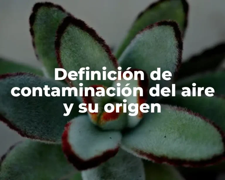 Definición de contaminación del aire y su origen