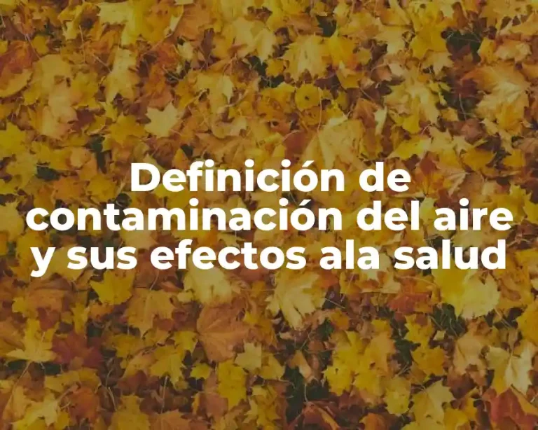 Definición de contaminación del aire y sus efectos ala salud