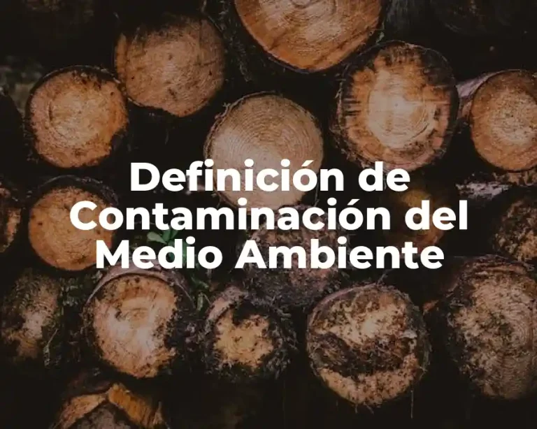Definición de Contaminación del Medio Ambiente
